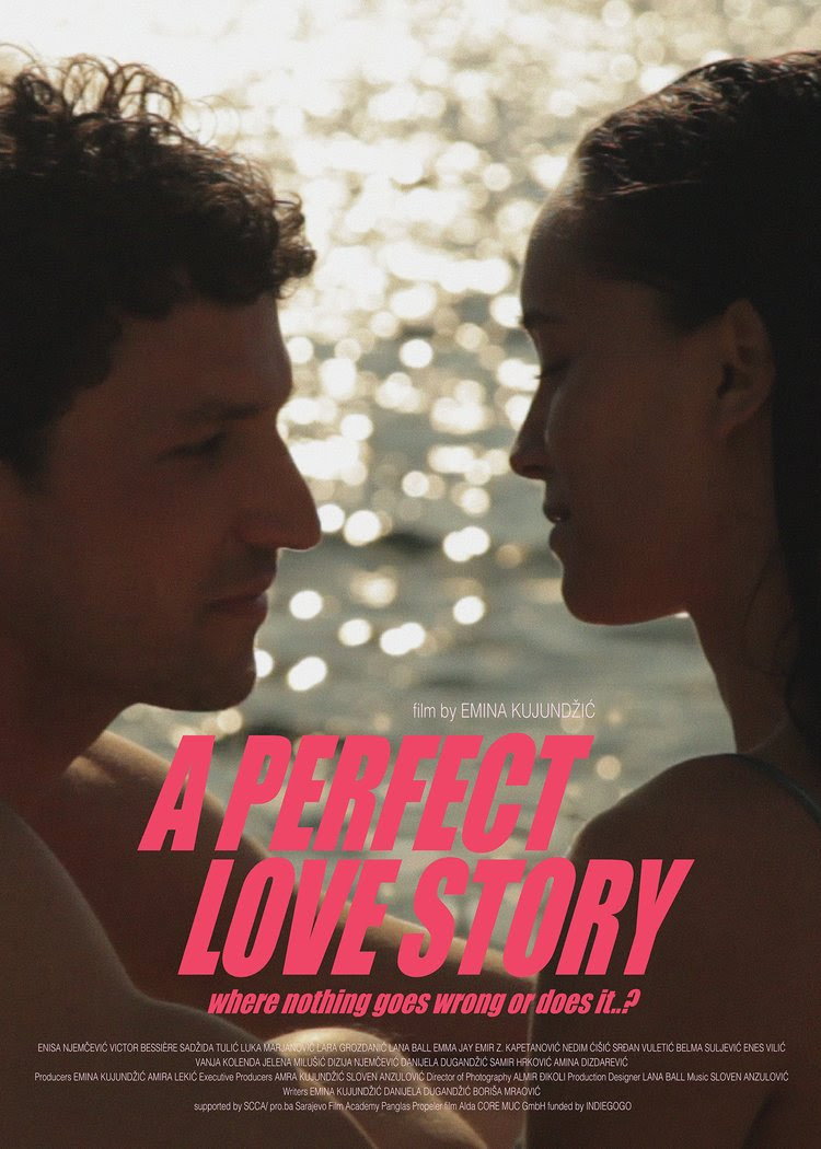 A Perfect Love Story Where Nothing Goes Wrong or Does It…? poster