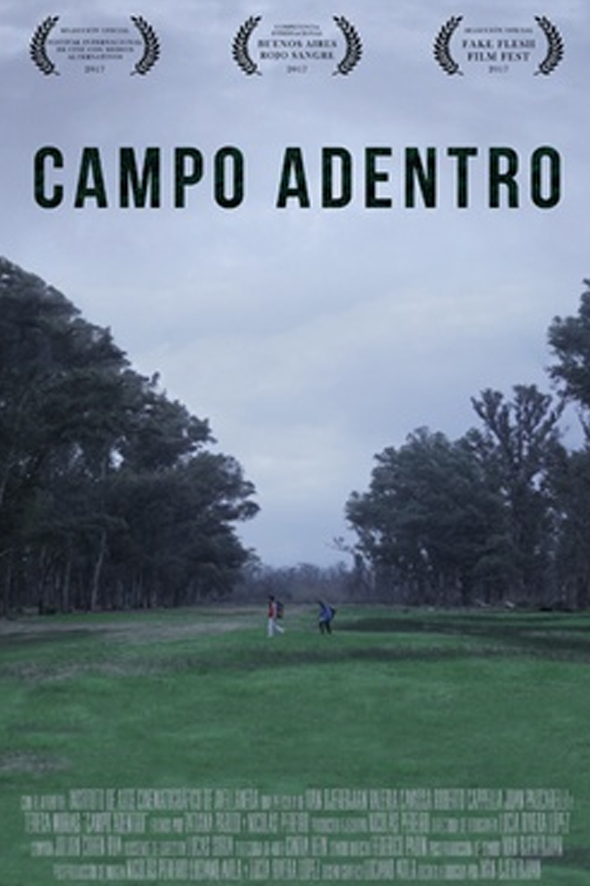 Campo adentro poster