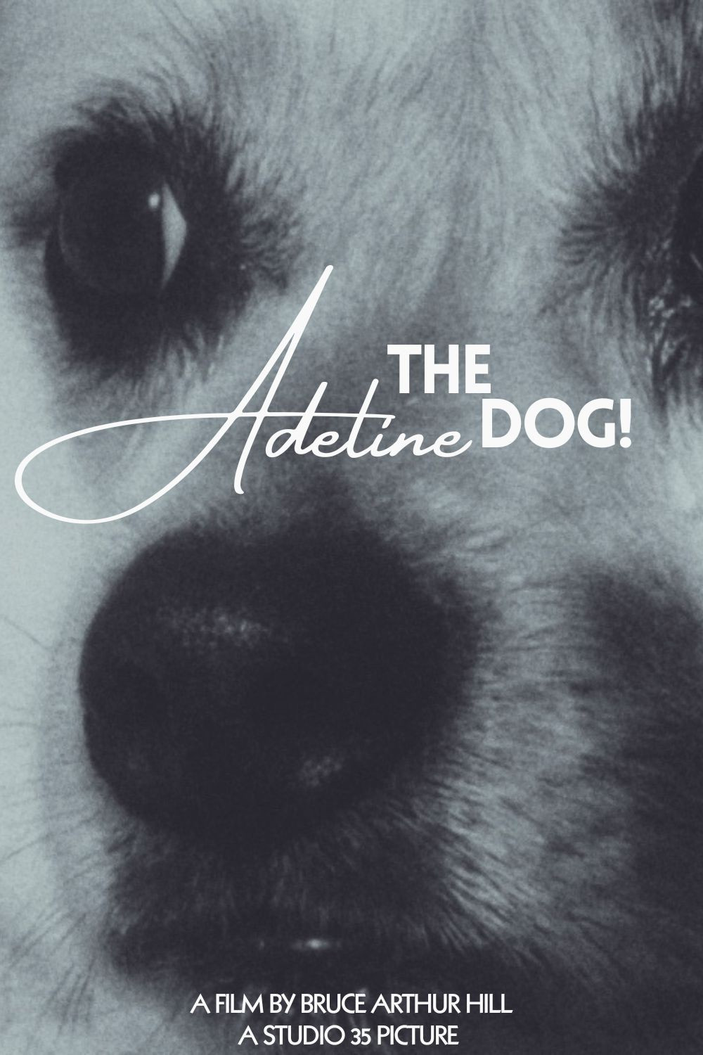Adeline The Dog! poster