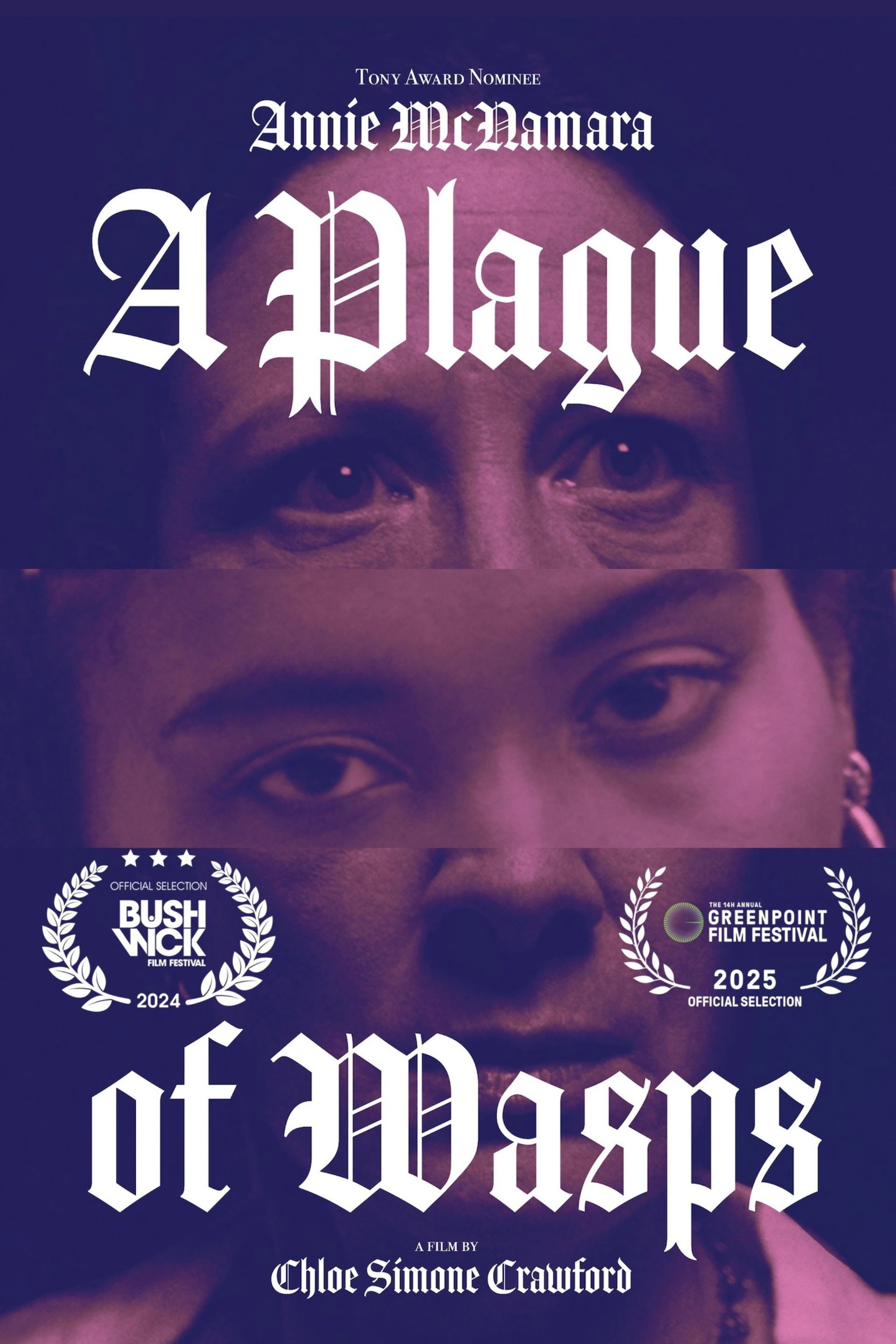 A Plague of Wasps poster