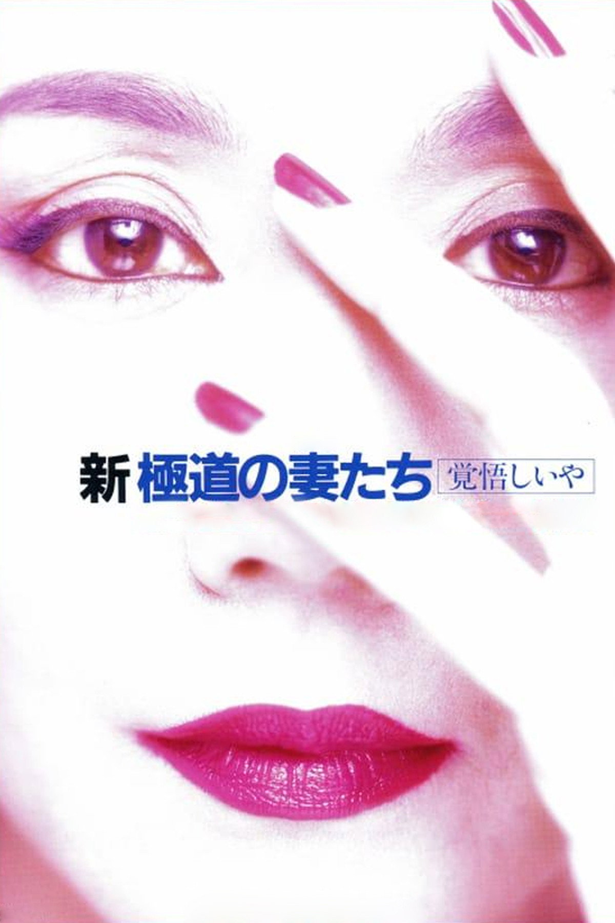 Yakuza Ladies Revisited 2 poster
