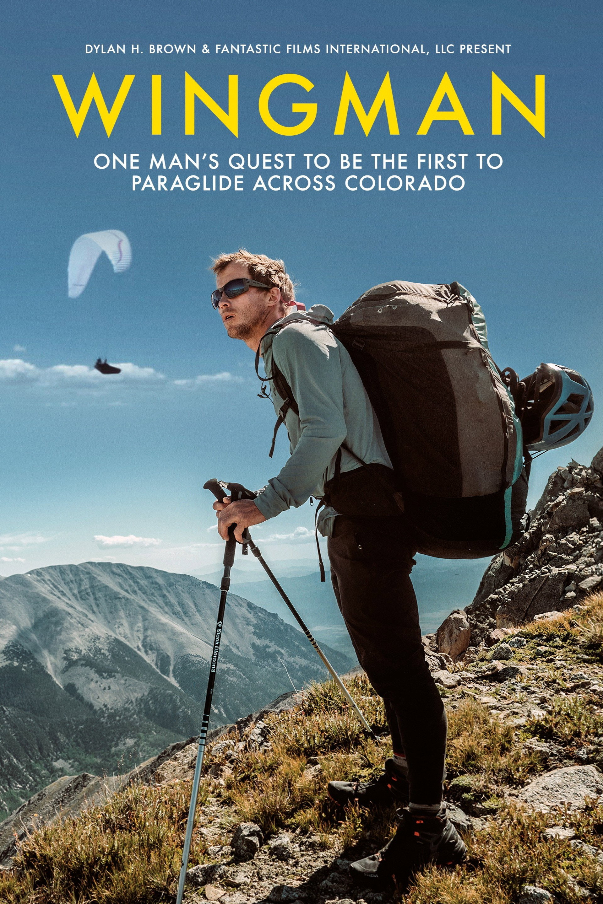 Wingman poster