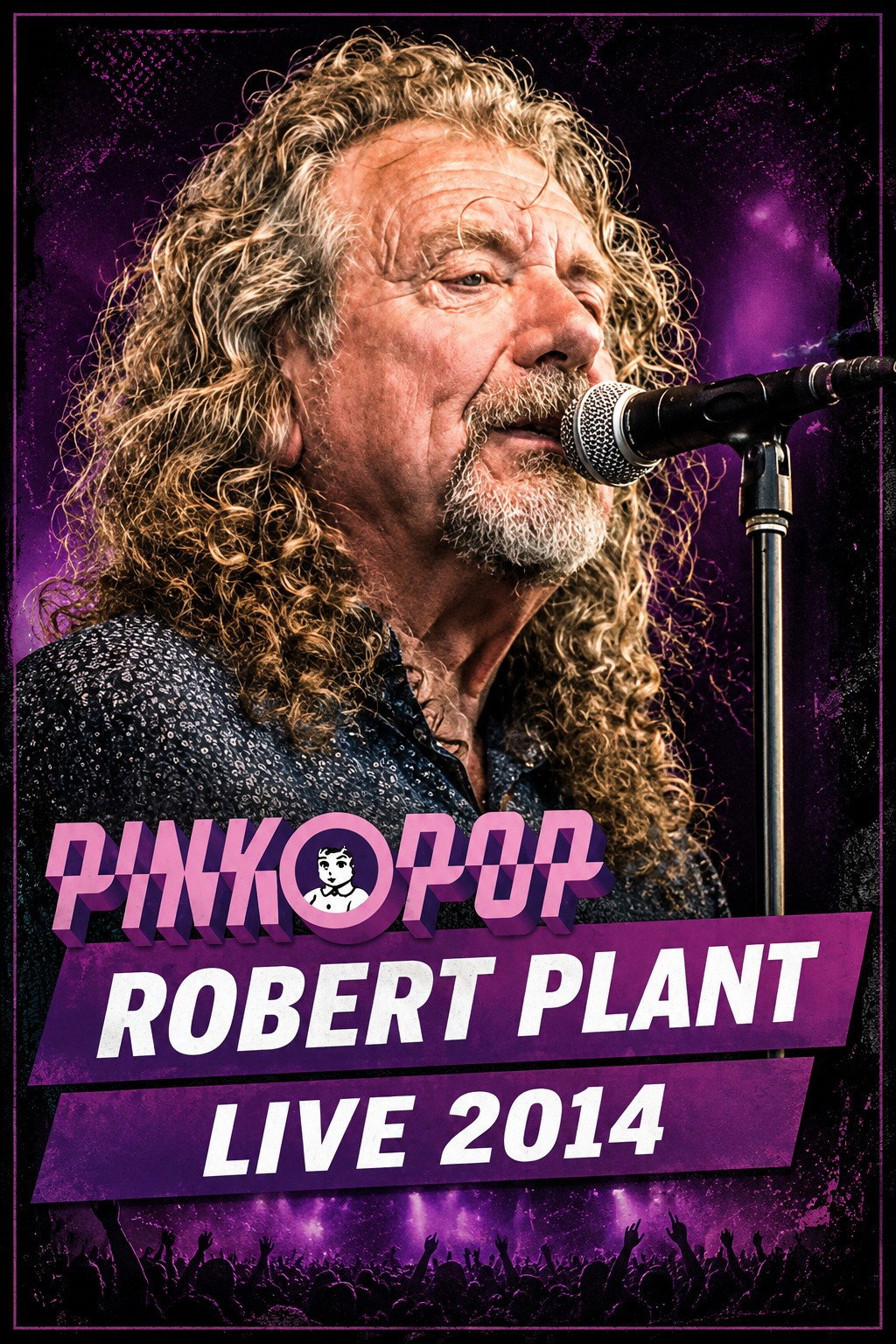 Robert Plant - Live at Pinkpop 2014 poster