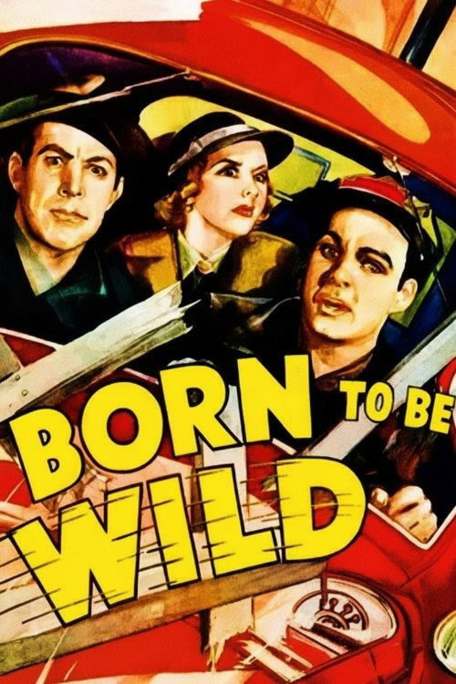 Born to Be Wild poster