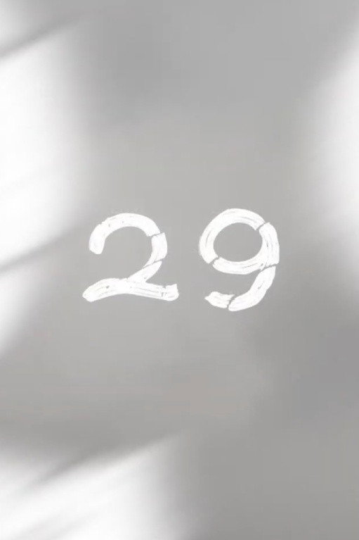 29 poster