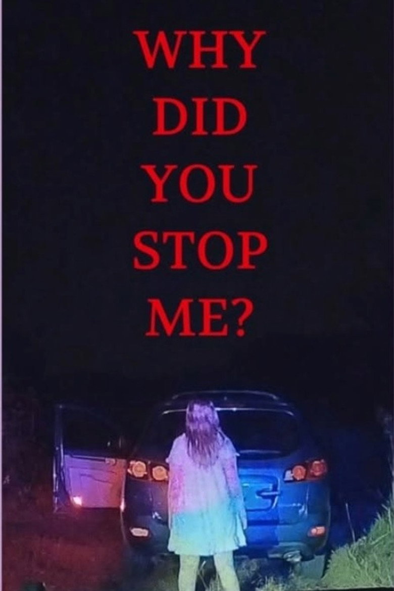 Why Did You Stop Me? poster