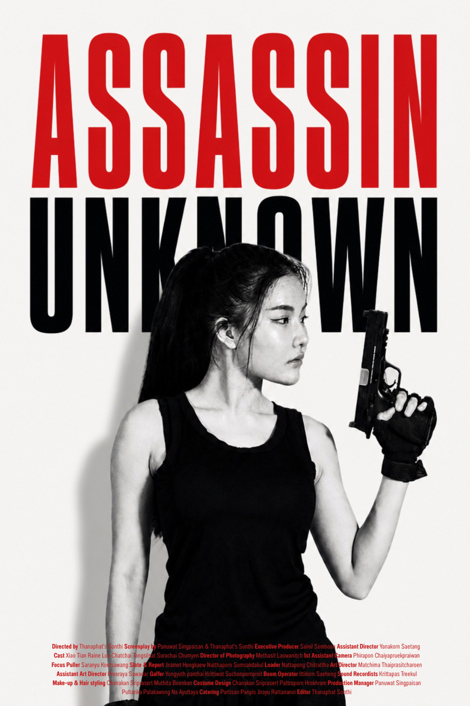 Assassin Unknown poster
