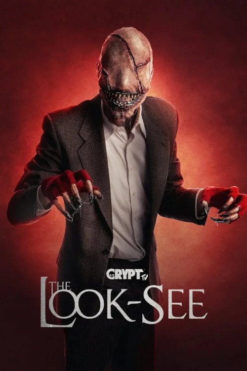 The Look-See poster
