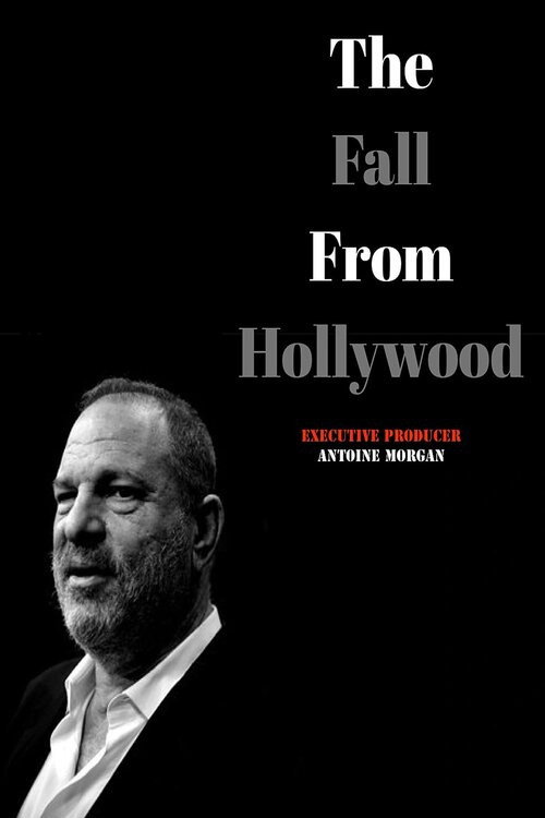 The Fall from Hollywood: A Harvey Weinstein Documentary poster