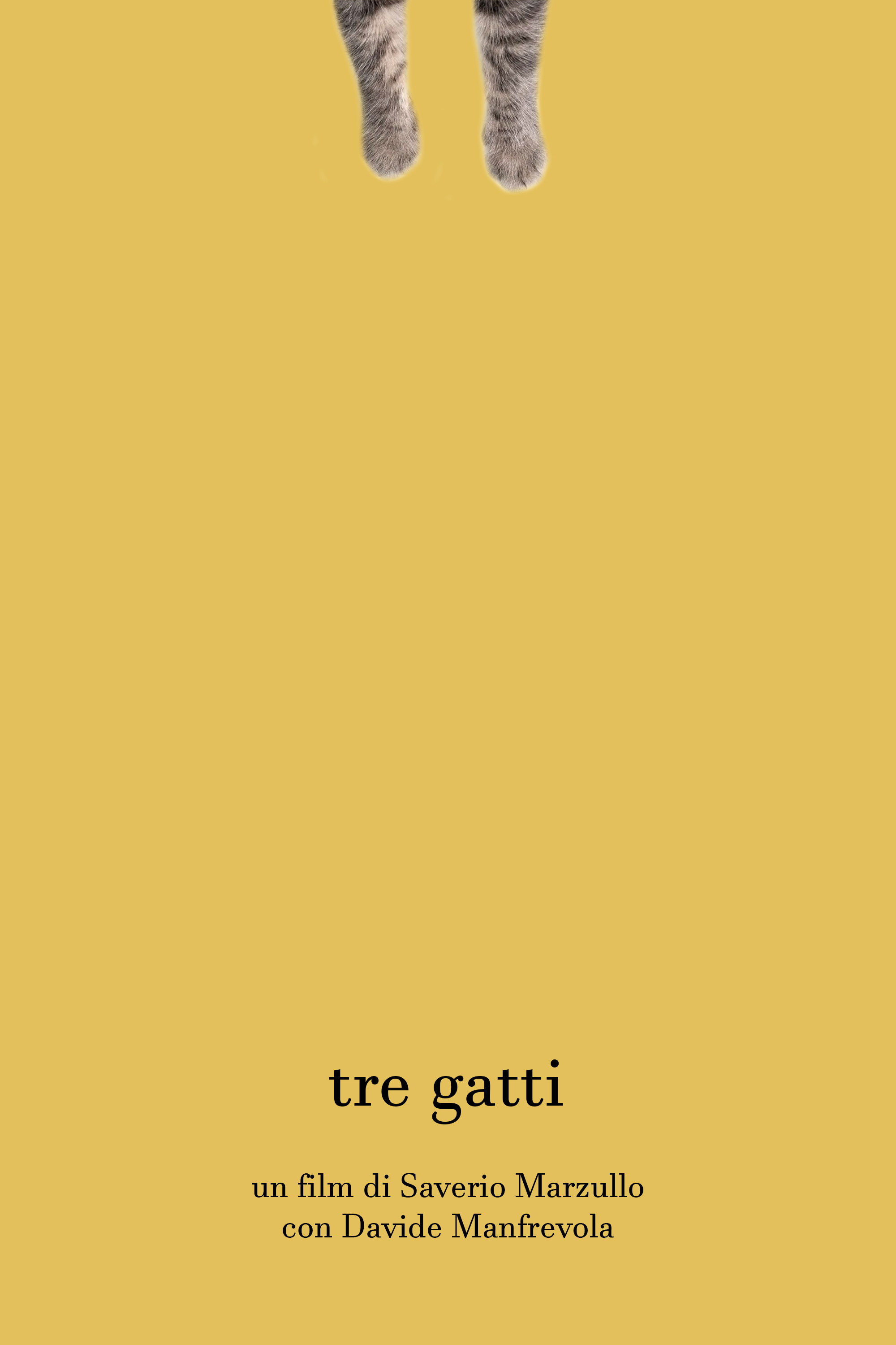 Three cats poster