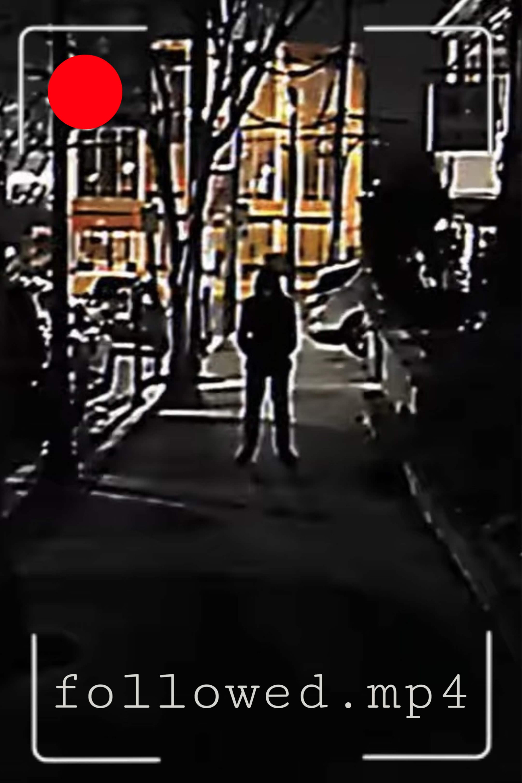 followed.mp4 poster