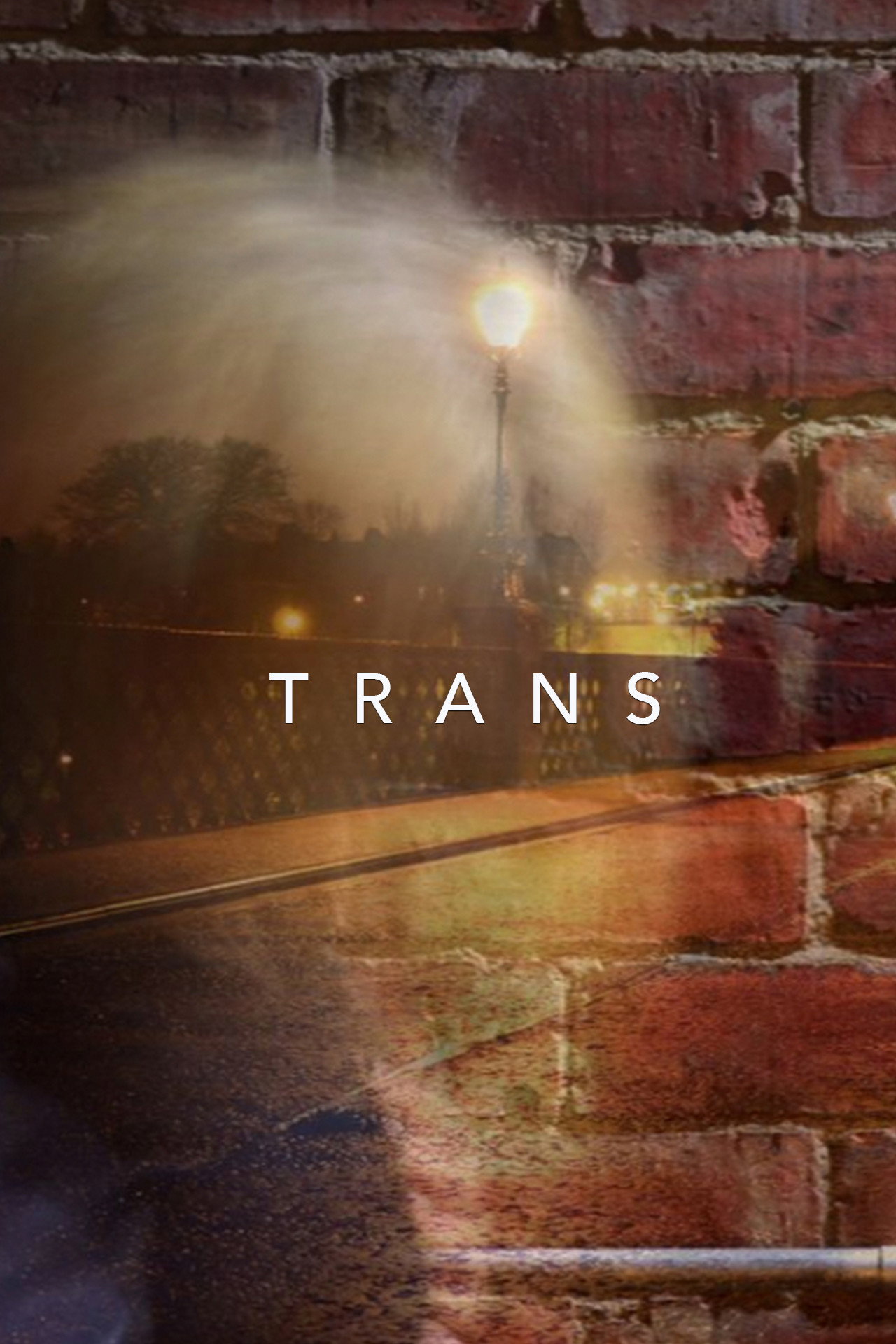 Trans poster