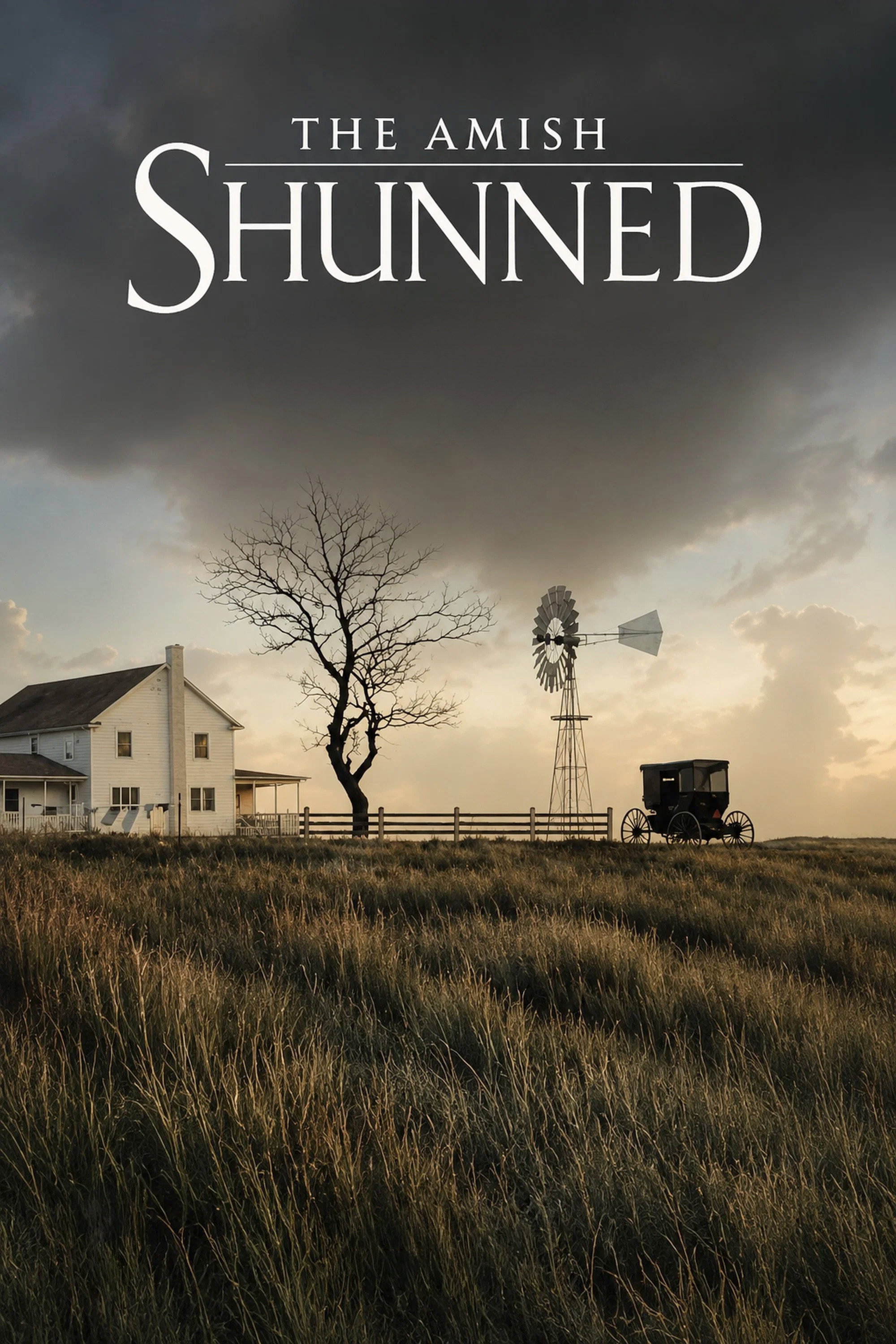 The Amish: Shunned poster