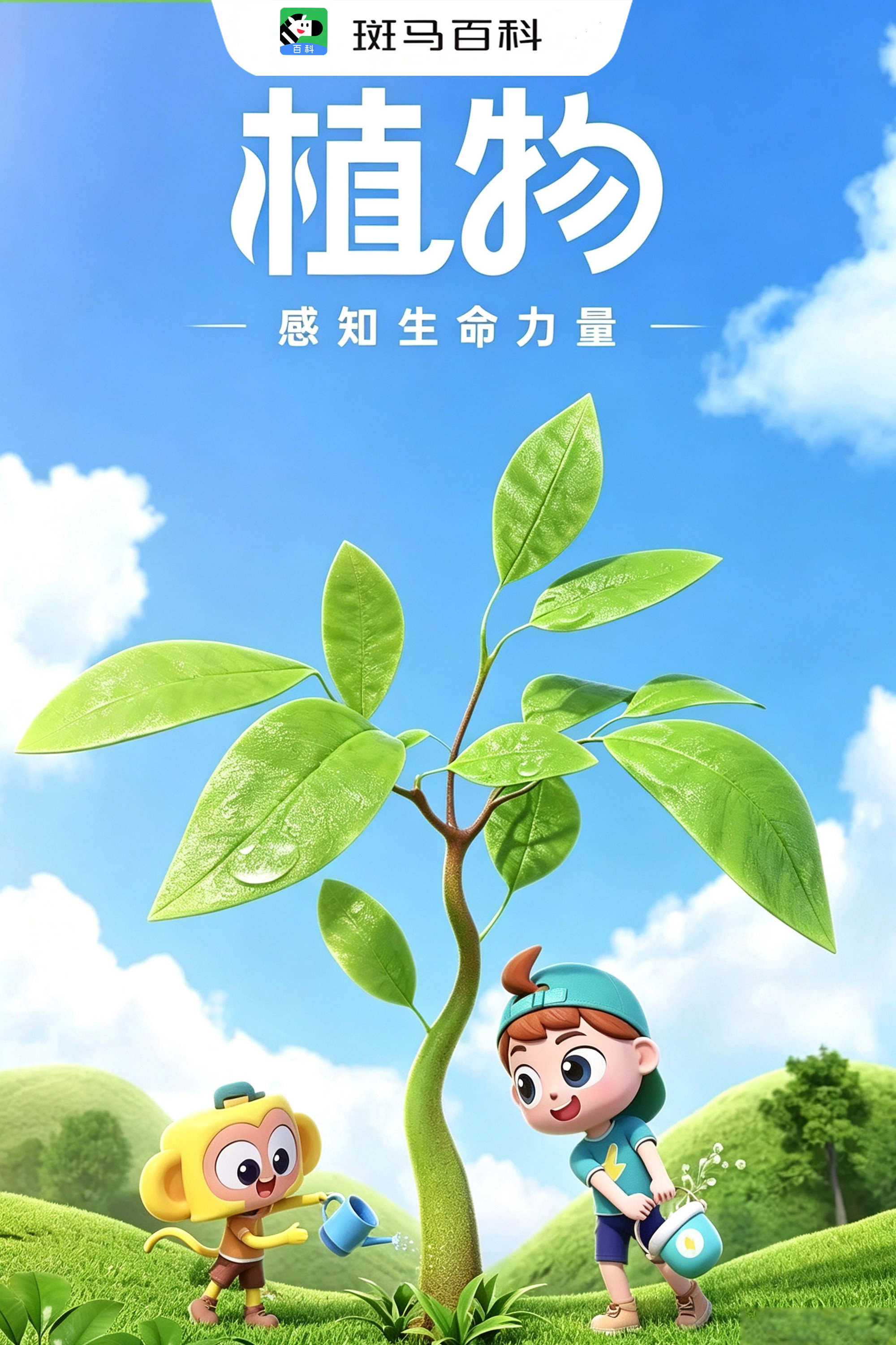 自然万象—植物 poster