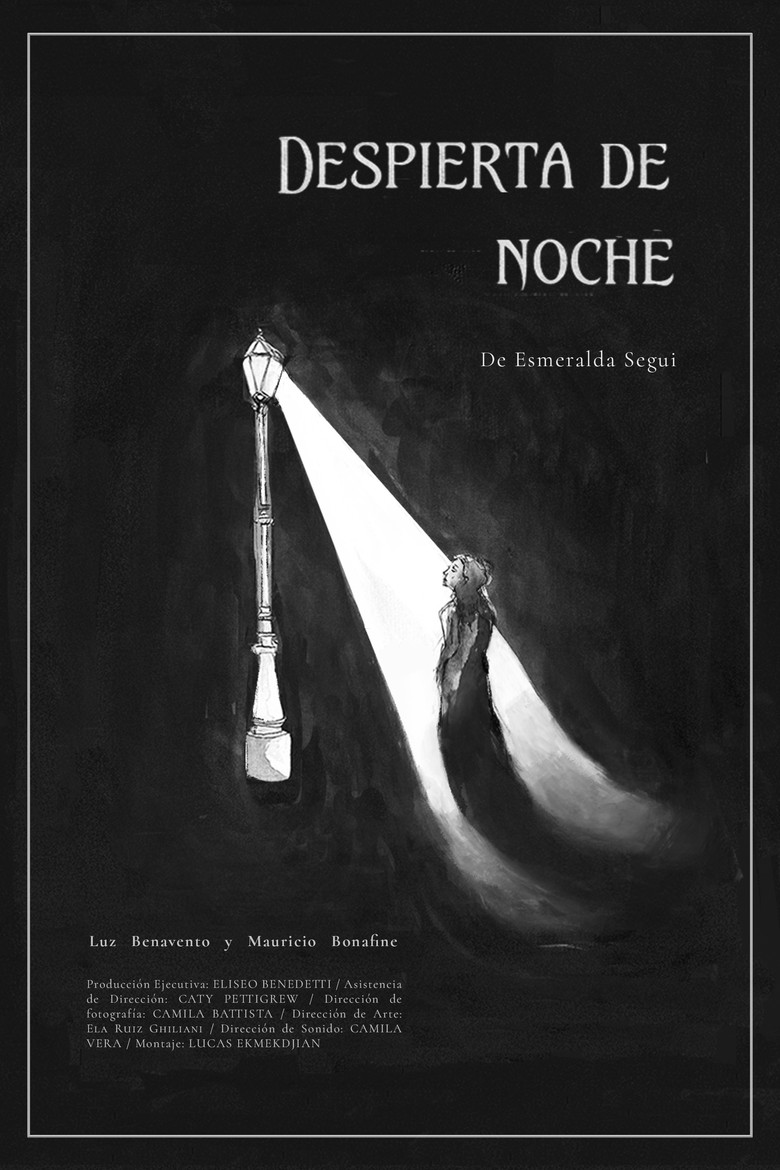 Awake at Night poster