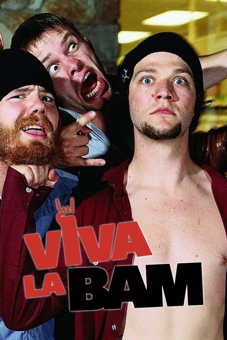 Viva La Bam: Fort Knoxville poster