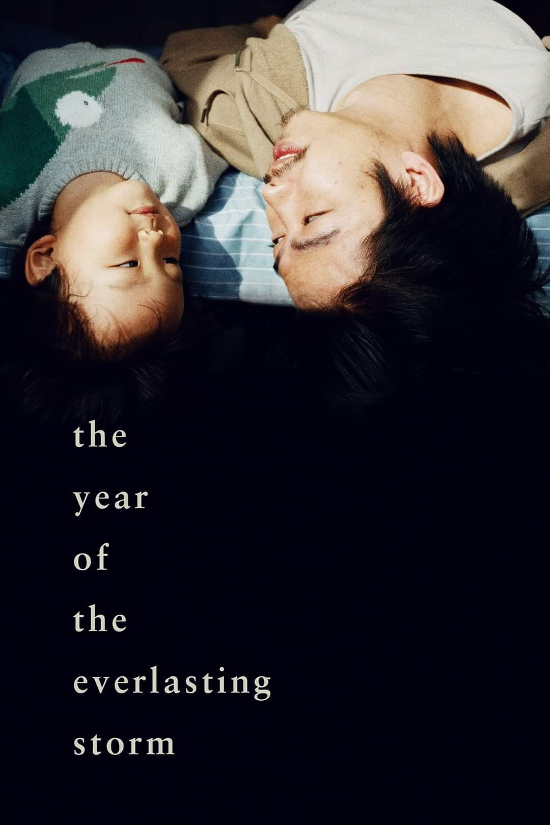 The Year of the Everlasting Storm poster