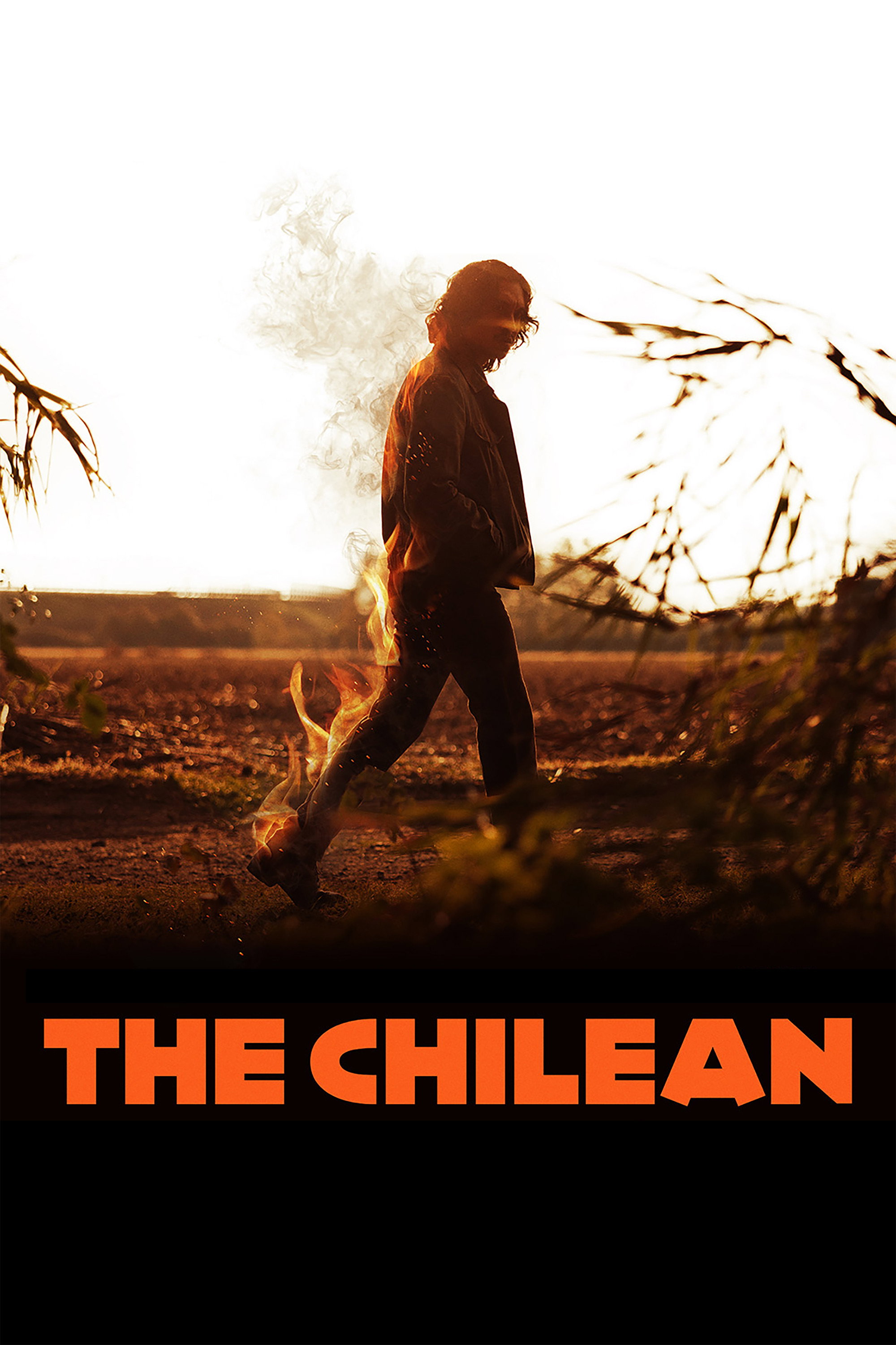 The Chilean poster