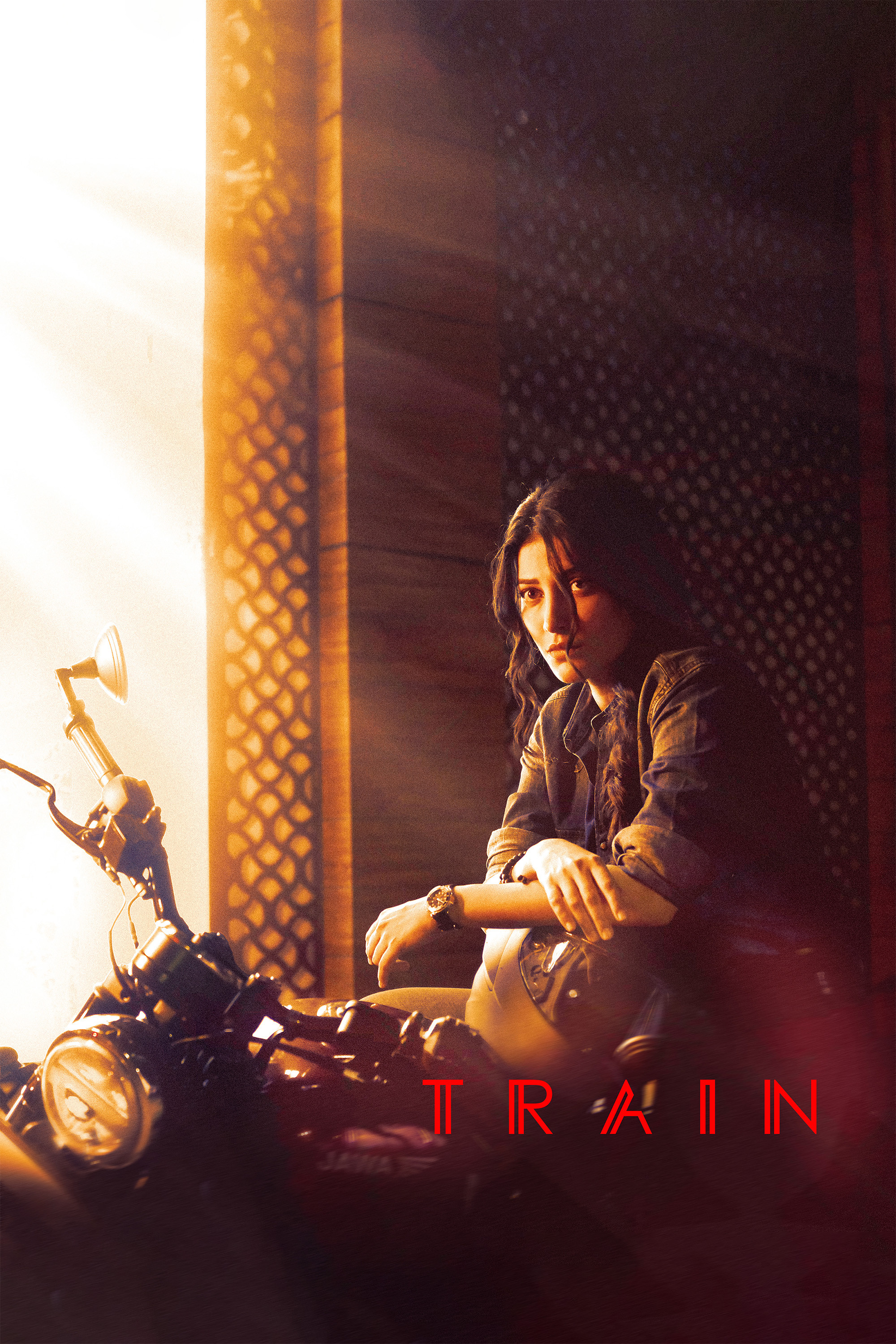 Train poster