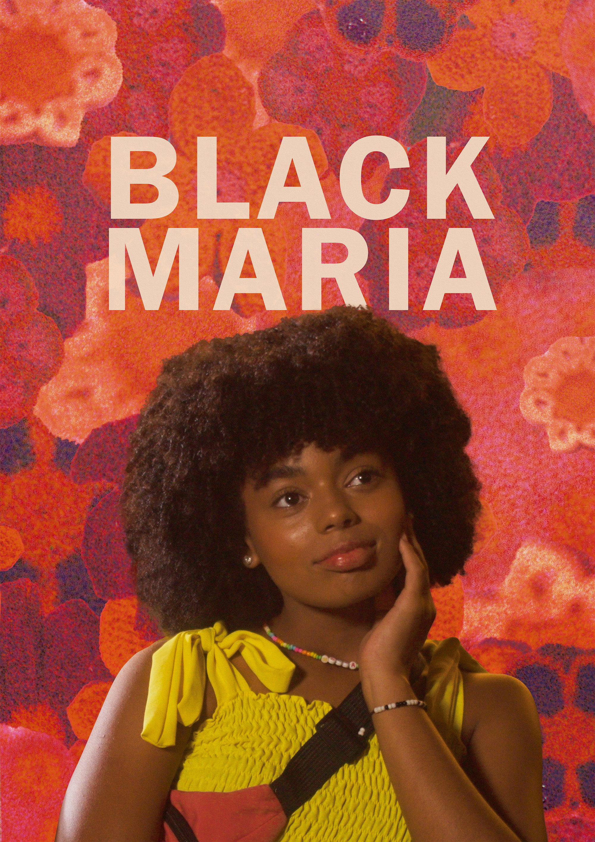 Black Maria poster