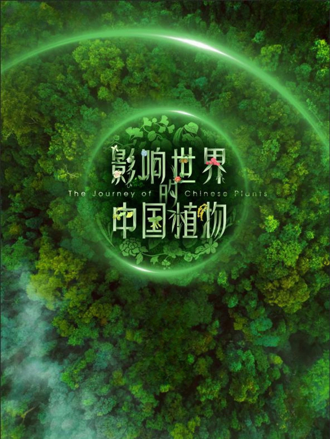 The Journey of Chinese Plants poster