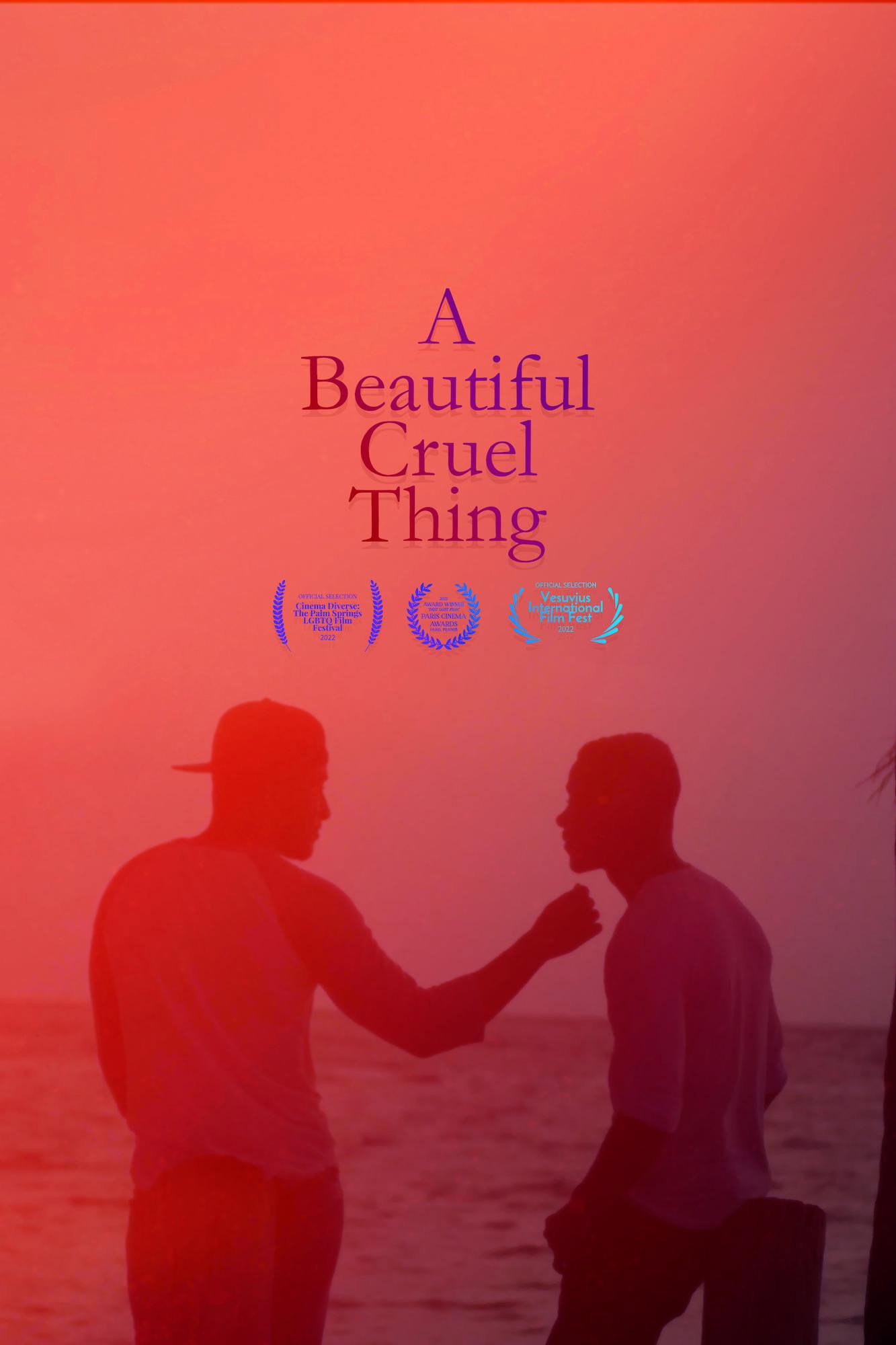 A Beautiful Cruel Thing poster
