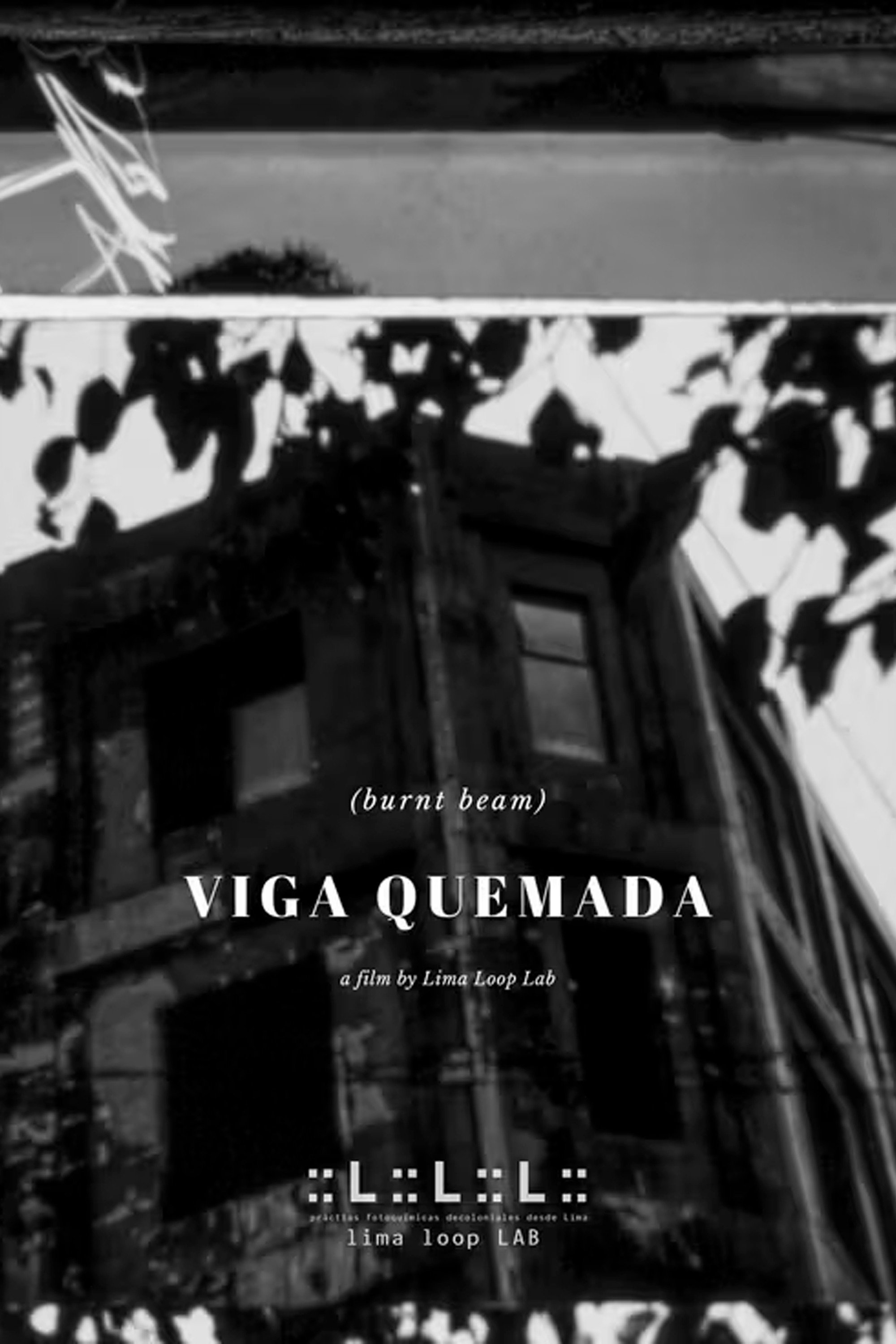 Viga Quemada poster