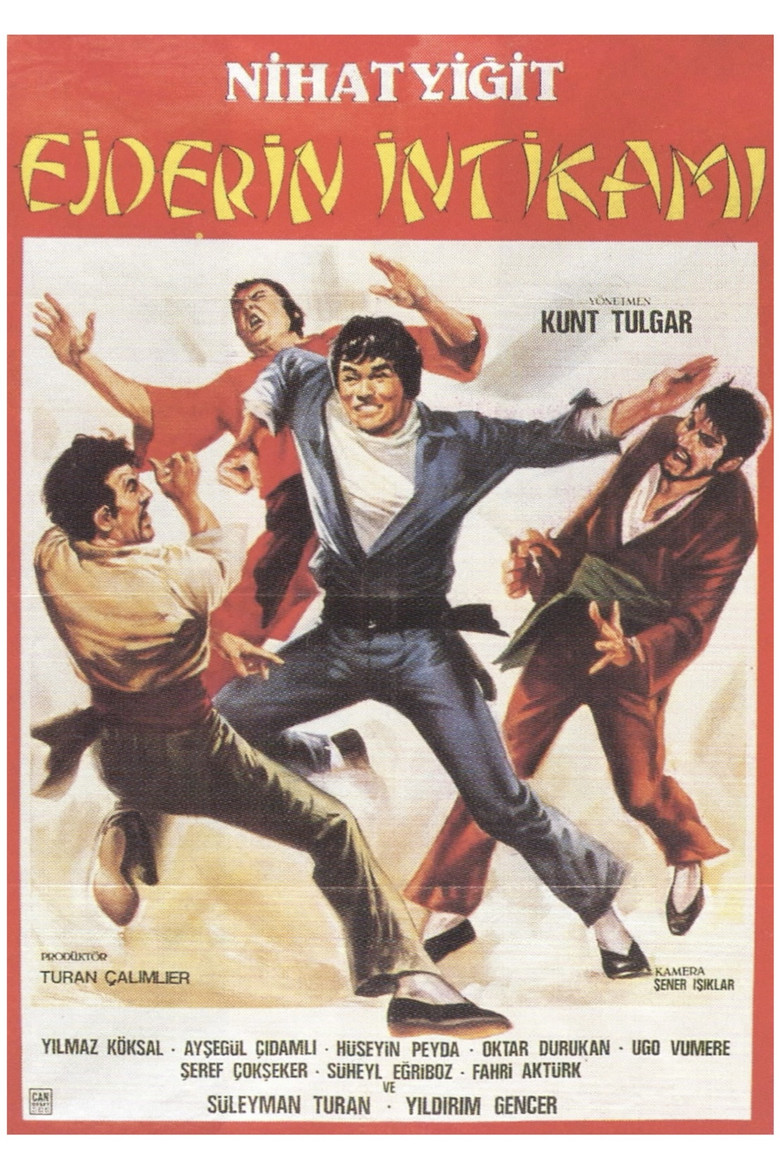Ejderin İntikamı poster