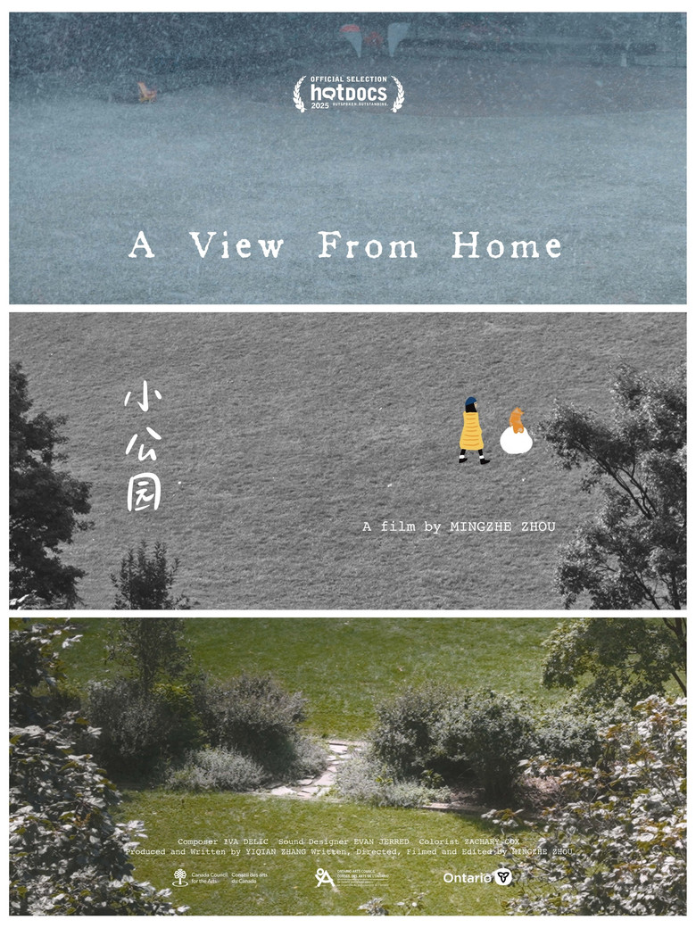 A View from Home poster