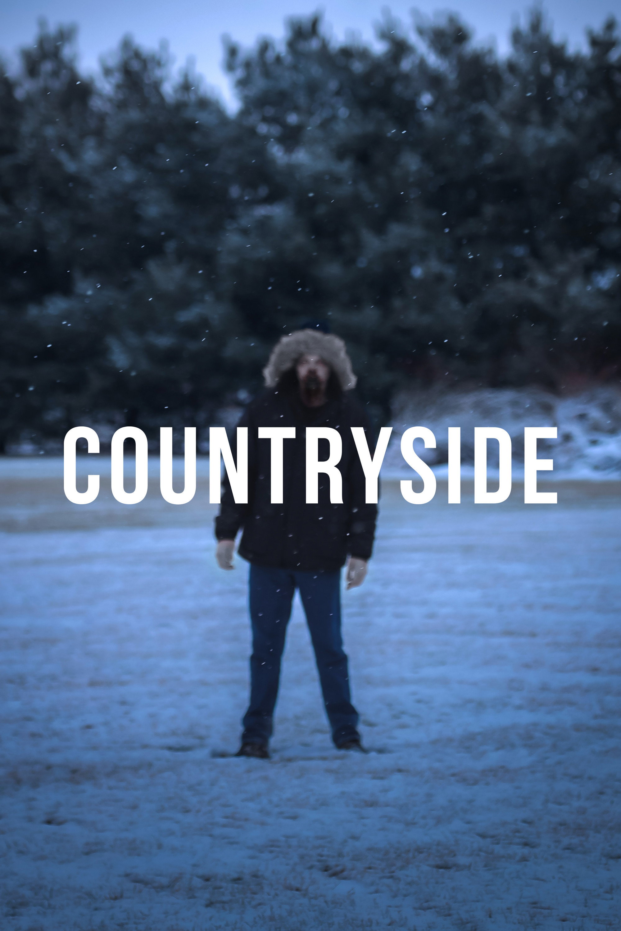 Countryside poster