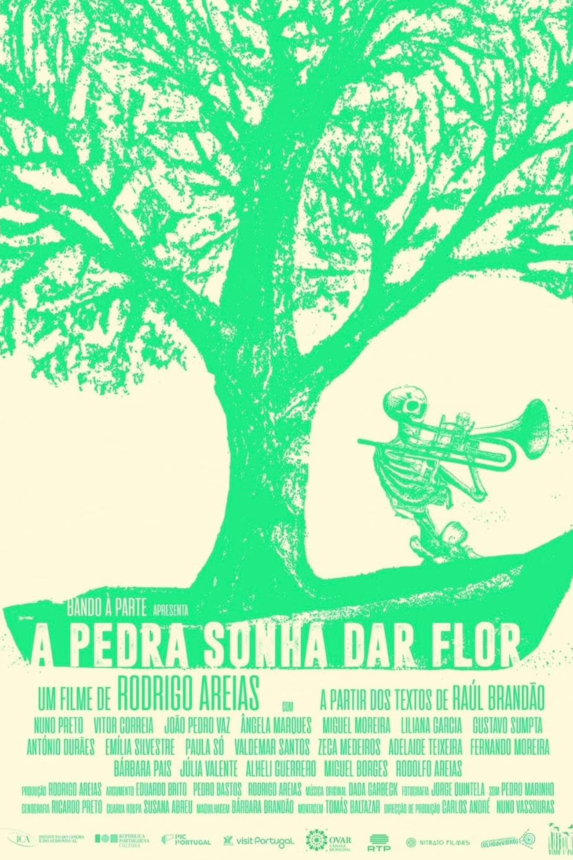 A Pedra Sonha Dar Flor poster