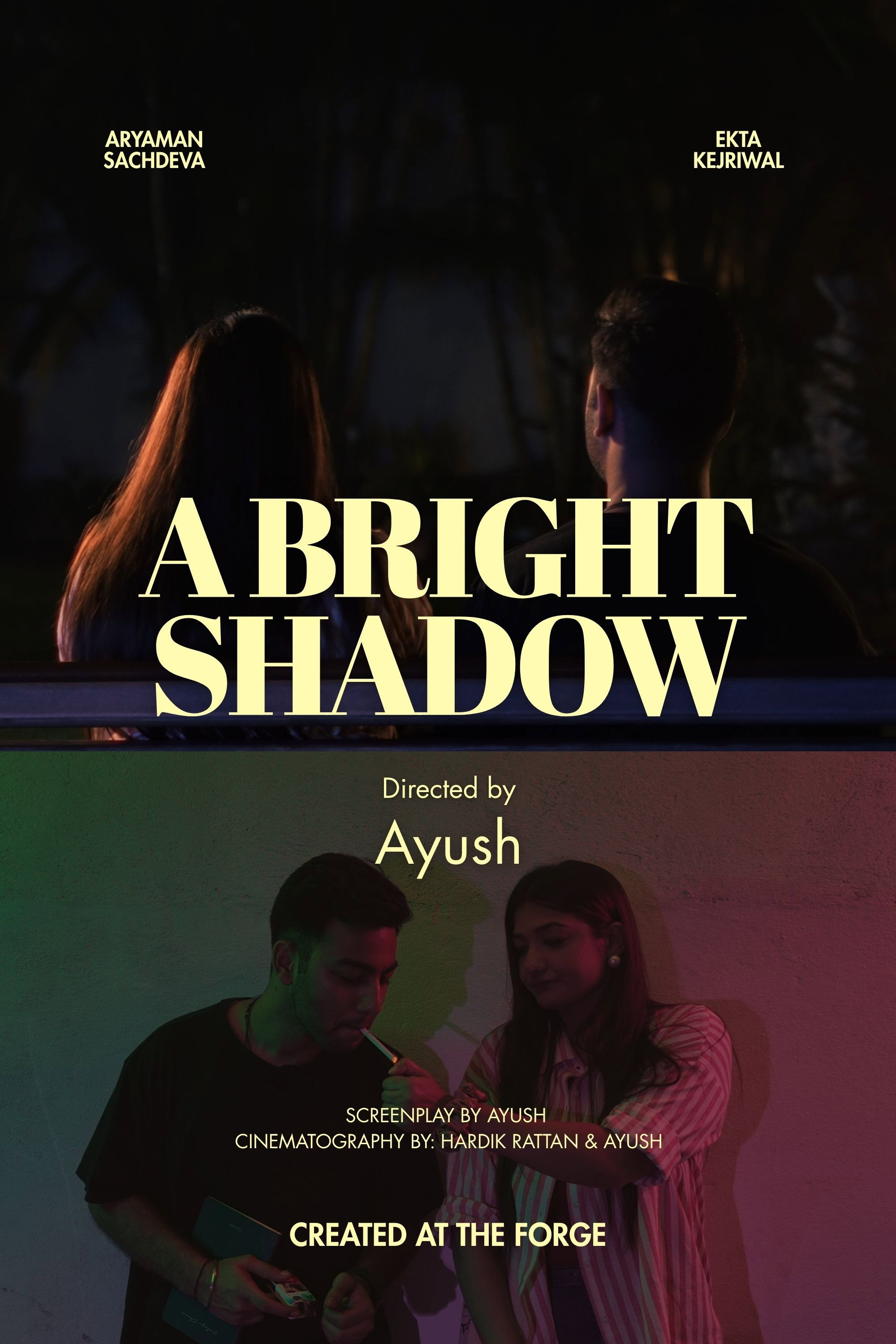 A Bright Shadow poster
