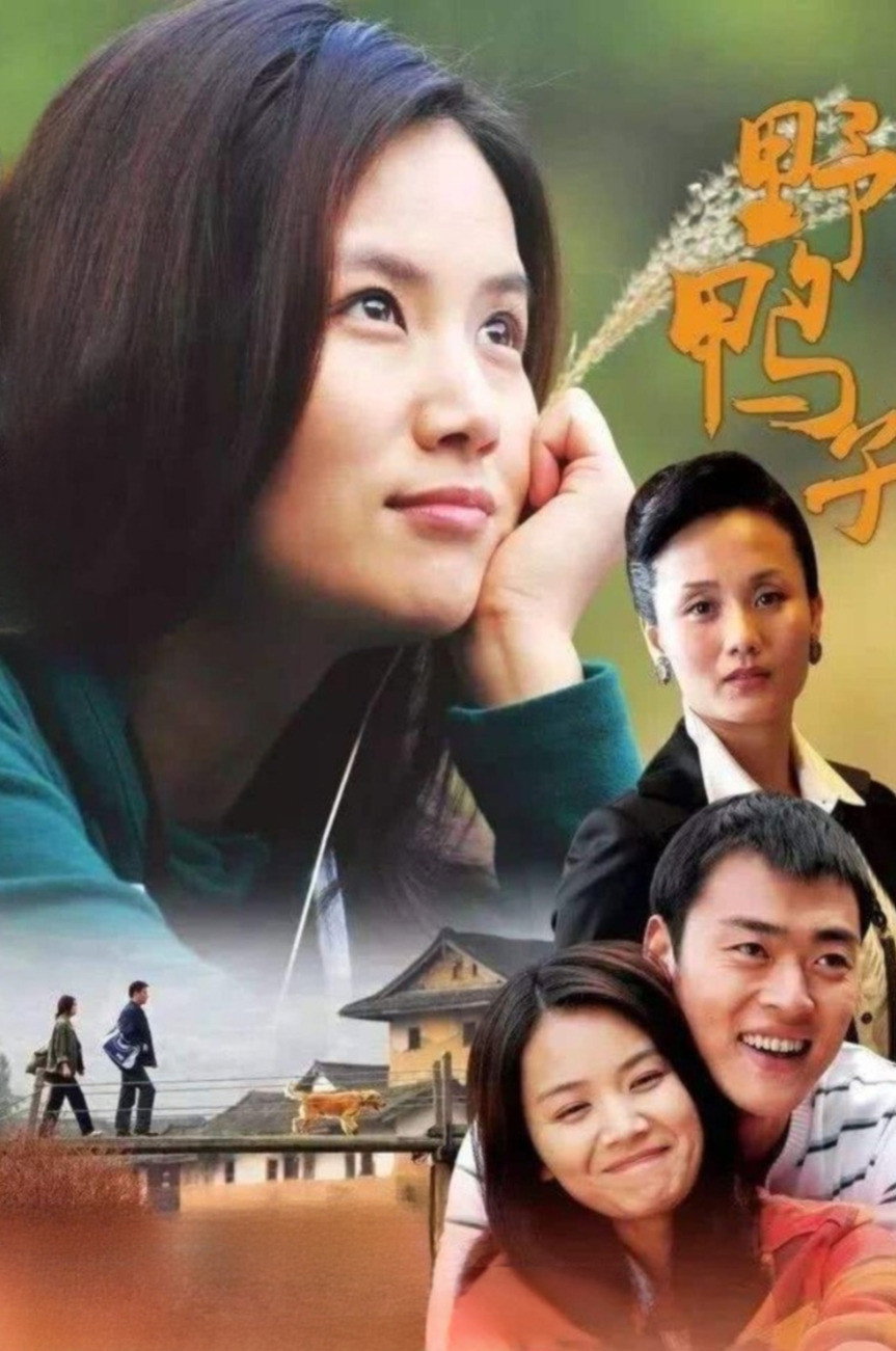 野鸭子 poster