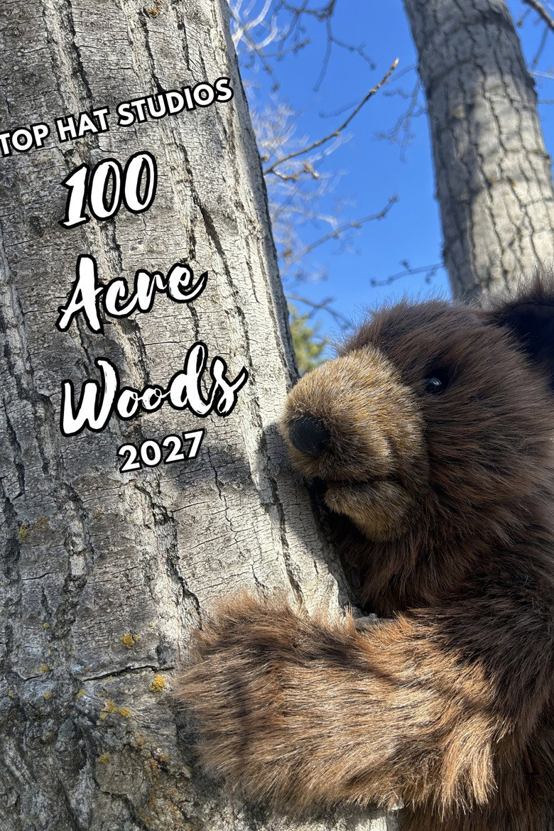 100 Acre Woods poster