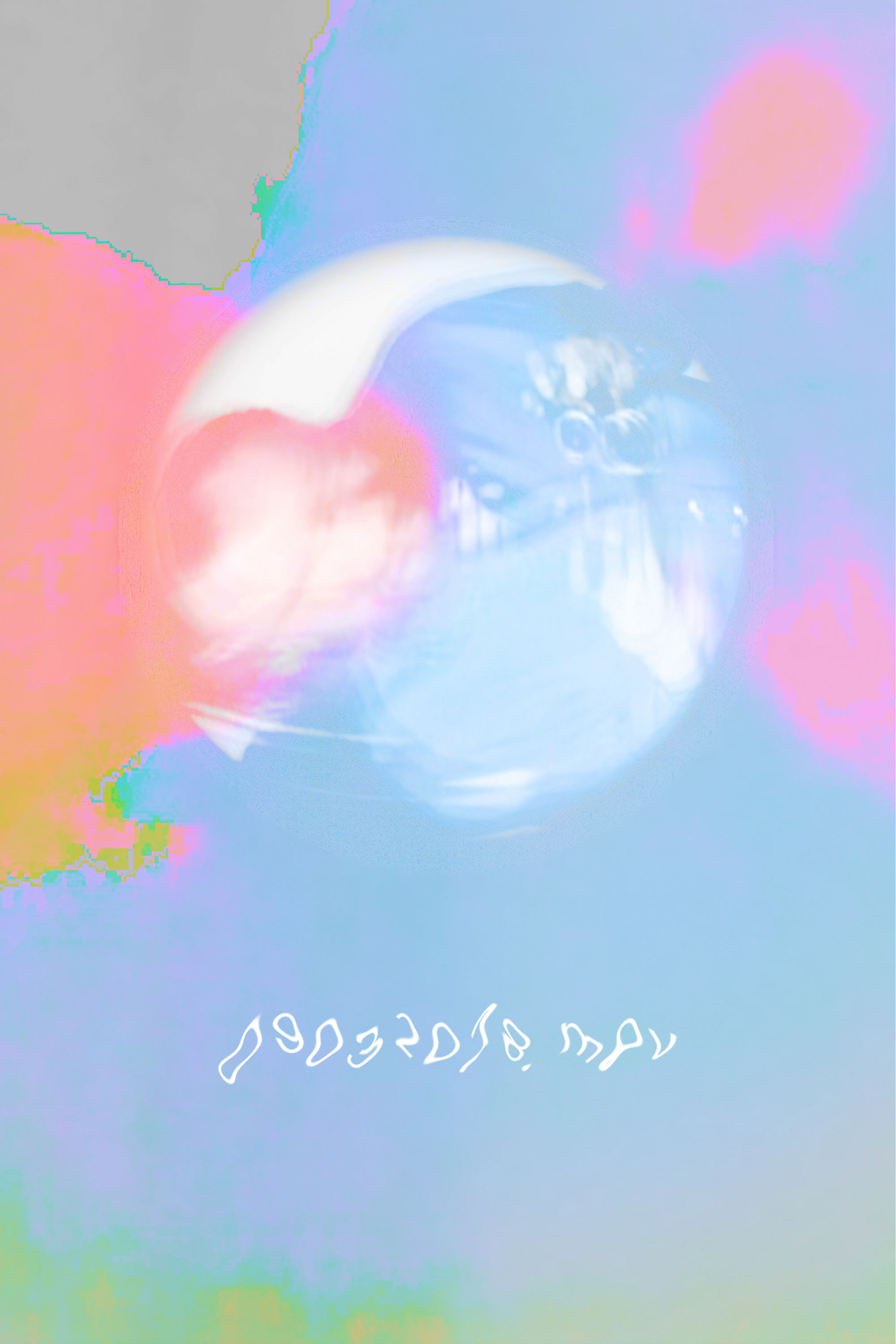 09032018.mov poster