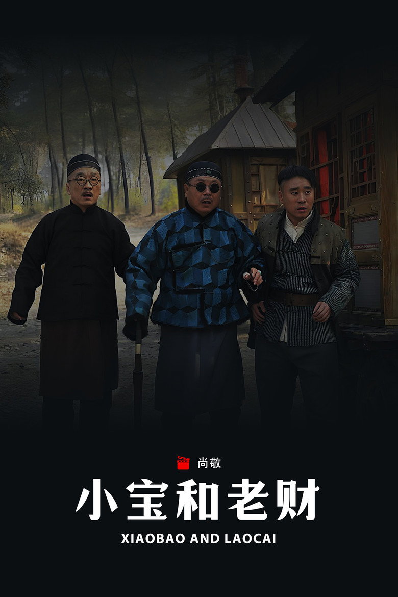 小宝和老财 poster