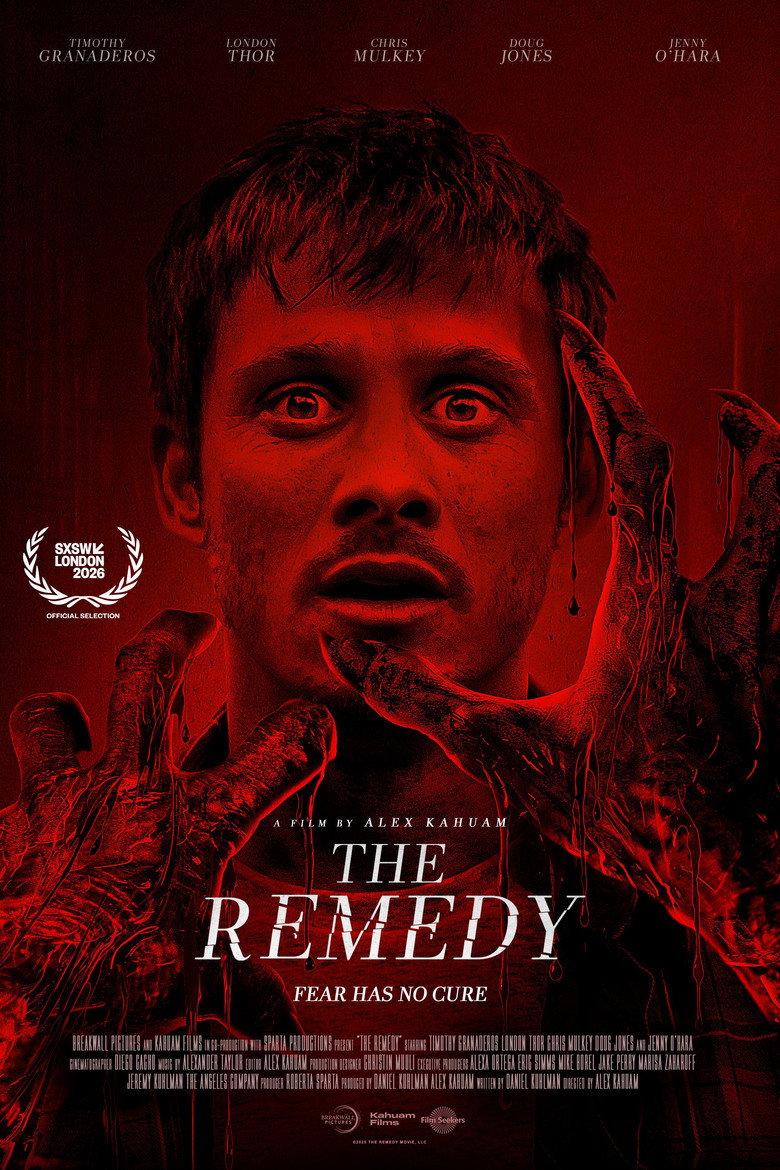 The Remedy poster