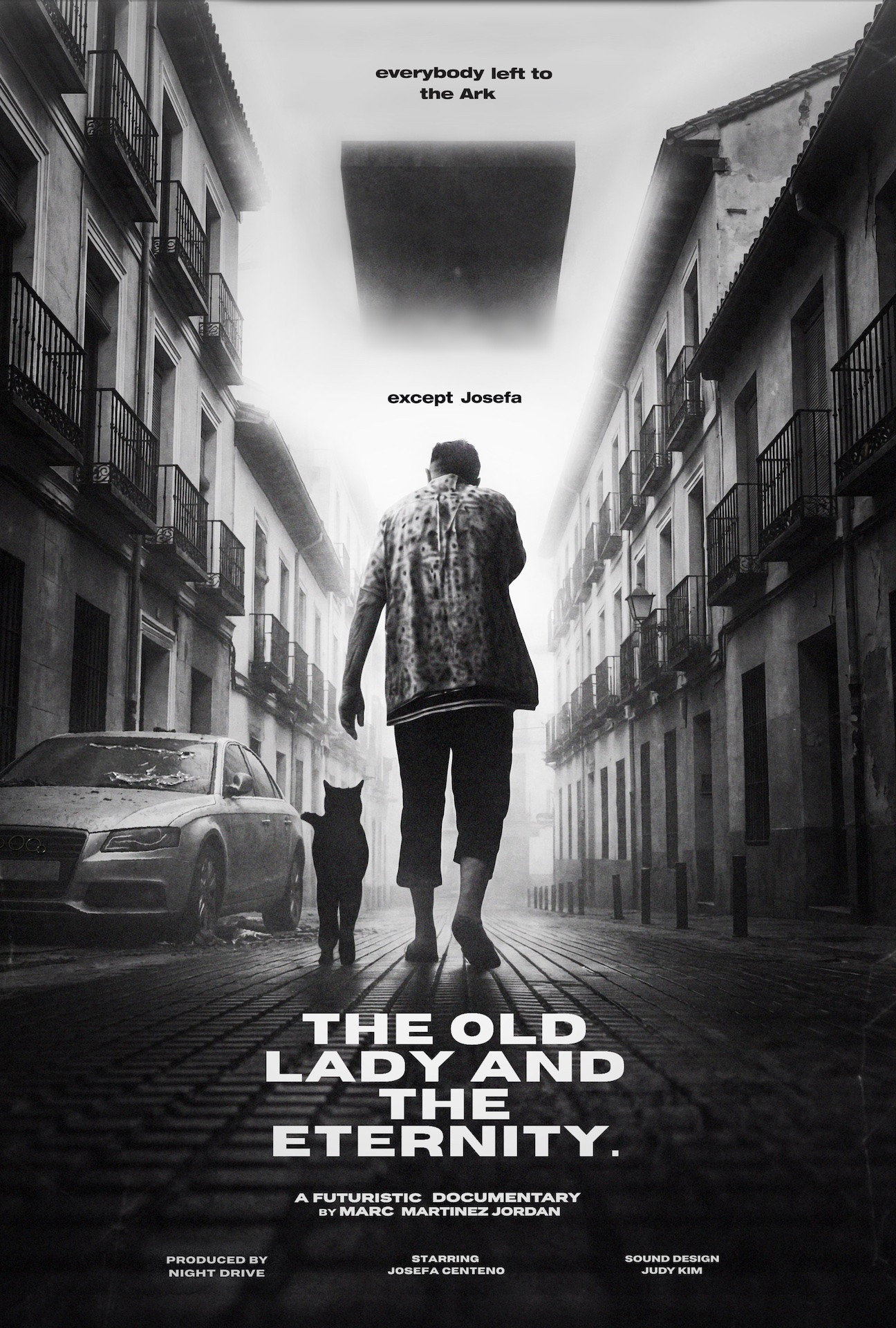The old Lady and the Eternity poster
