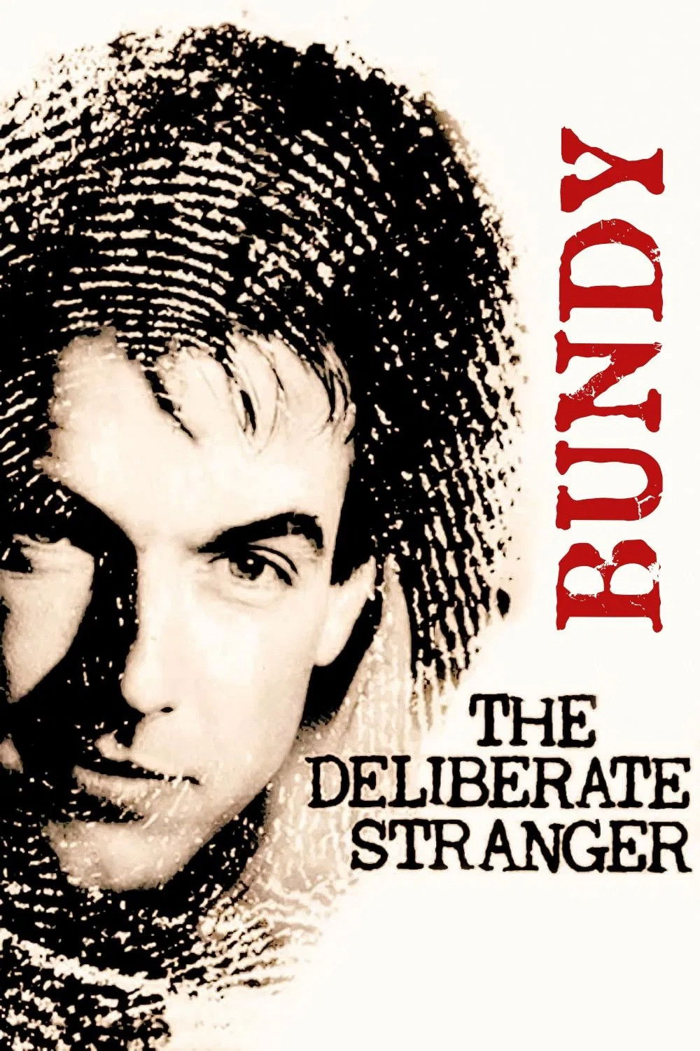 The Deliberate Stranger poster
