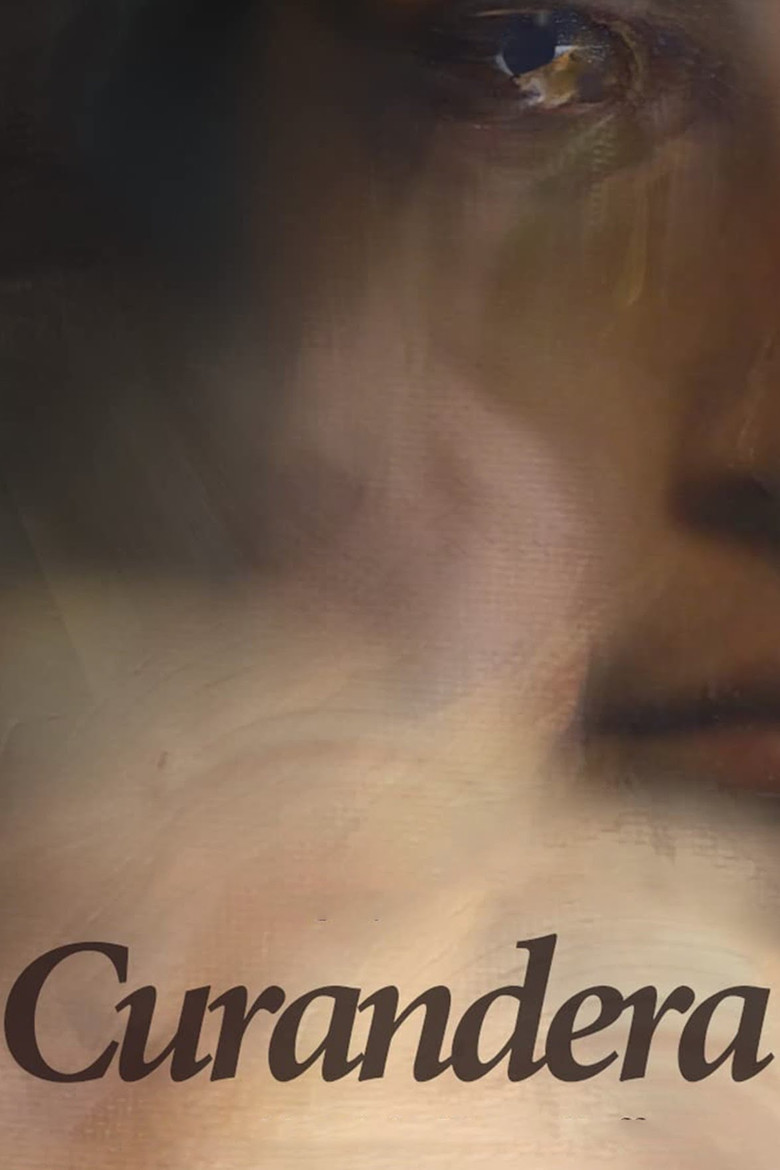 The Healer poster
