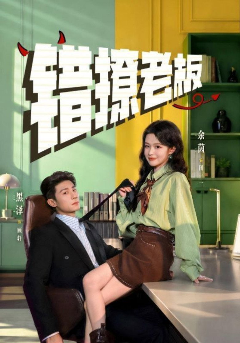 错撩老板 poster