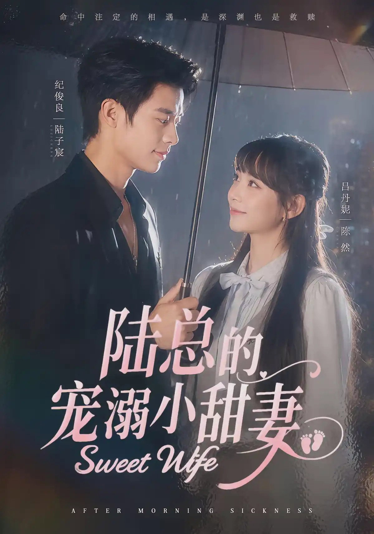 陆总的宠溺小甜妻 poster