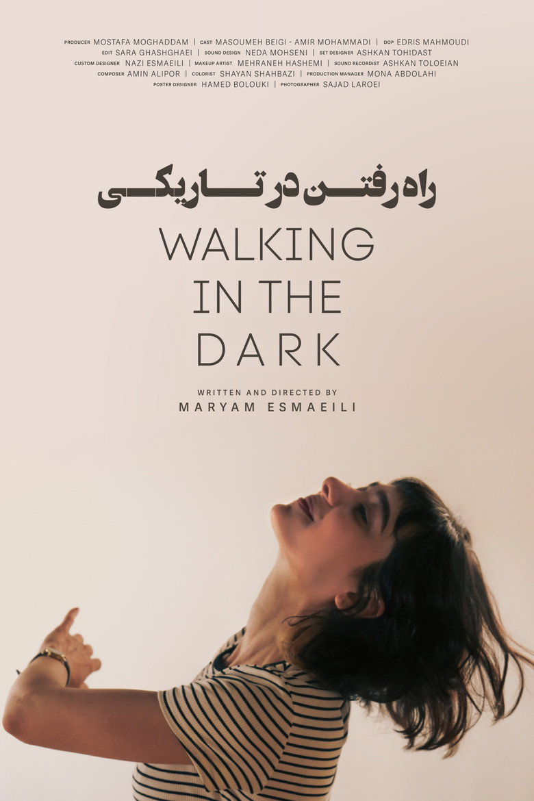 Walking in the Dark poster