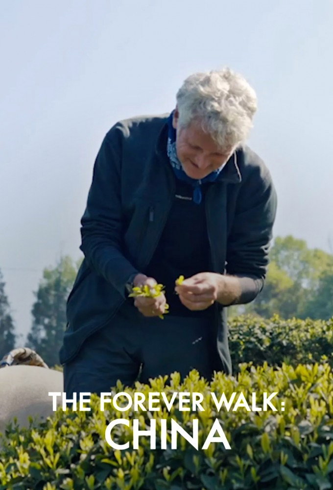 The Forever Walk: China poster