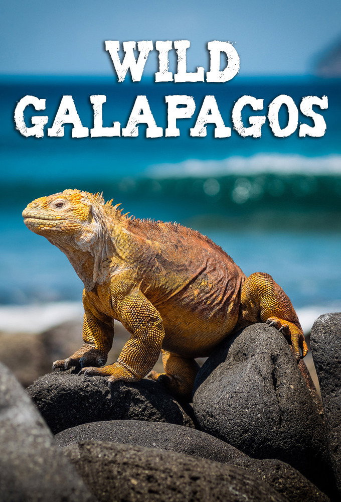 Wild Galápagos poster