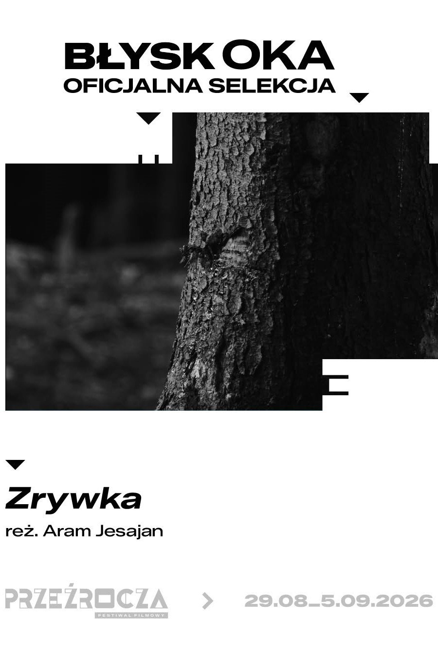 Zrywka poster