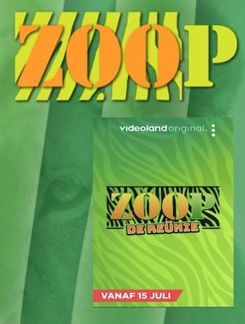 ZOOP: The Reunion poster