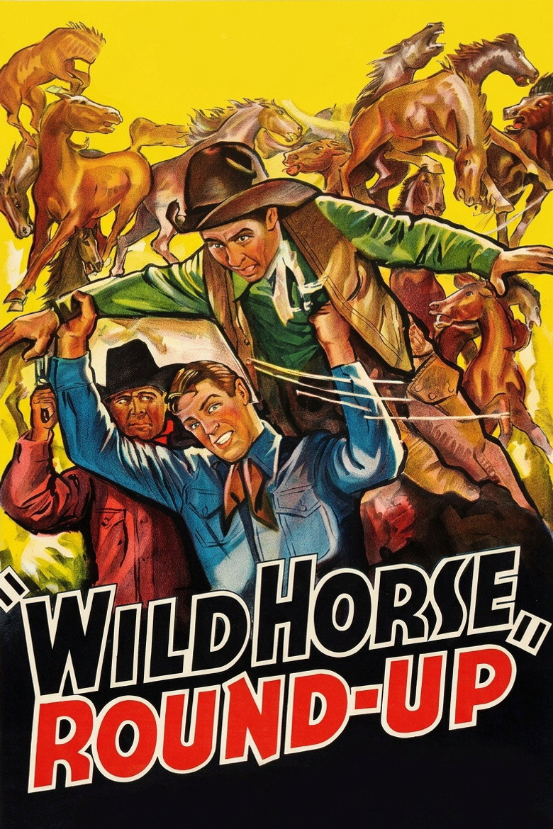 Wild Horse Round-Up poster