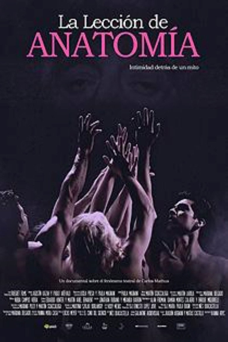 An Anatomy Lesson poster