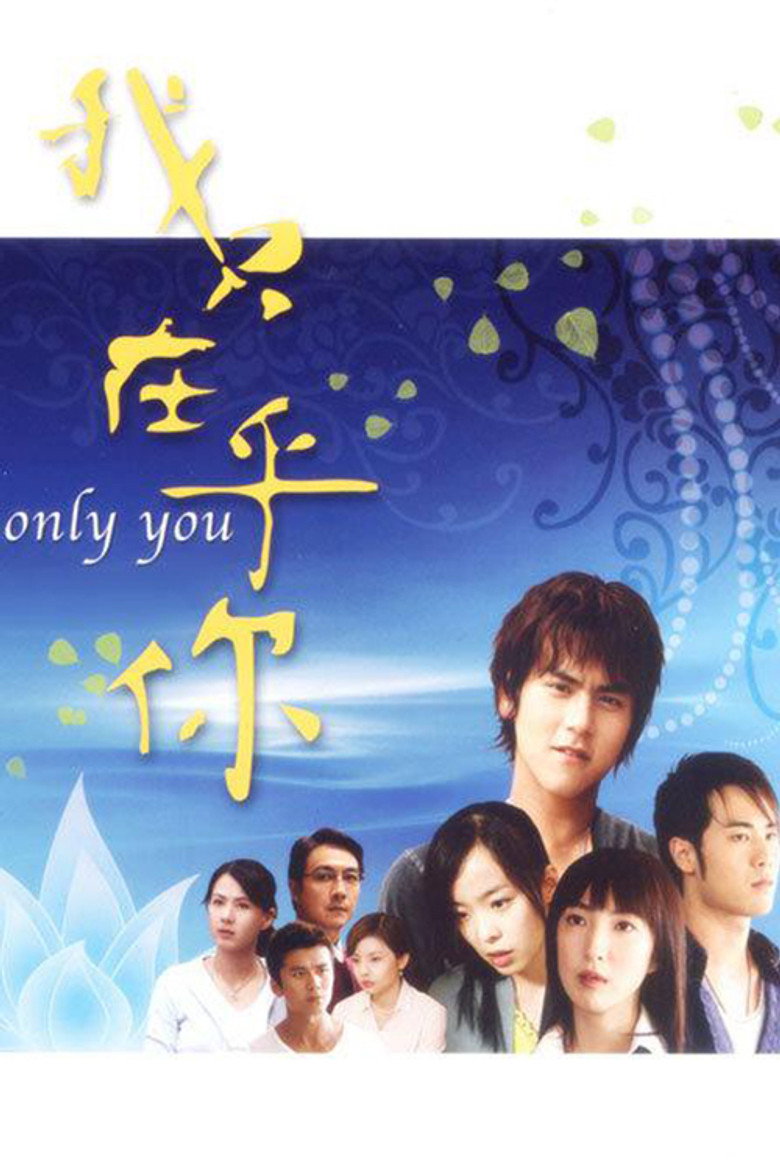 我只在乎你 poster